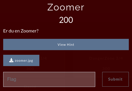 NC3 Challenge: Zoomer