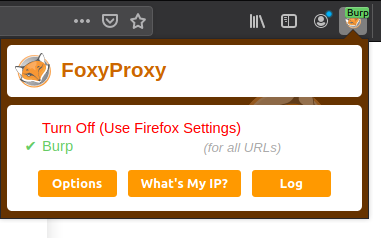 FoxyProxy for Burp