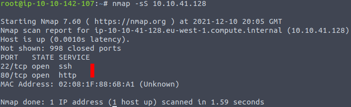 nmap sS SYN scan