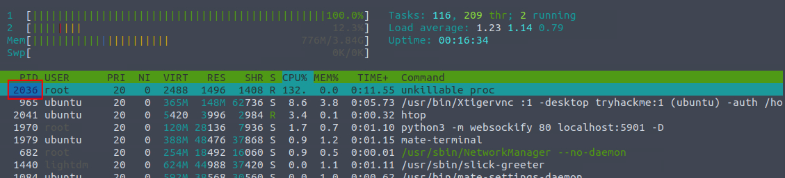 htop new process spawned